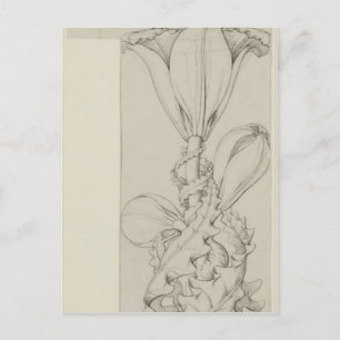 Carte Postale Génie de la Lily, 1809