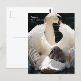 Carte Postale Gentillesse