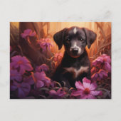 Carte postale Gentle Furball (Devant)