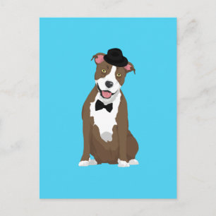 Carte Postale Gentleman American Staffordshire Terrier