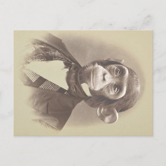 Carte Postale Gentleman Chimpanzé en photo Vintage (Devant)