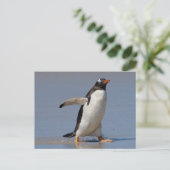 Carte postale Gentoo Paddle (Debout devant)