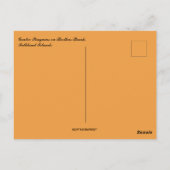 Carte Postale Gentoo Penguins Berthas Beach Falkland Islands (Dos)