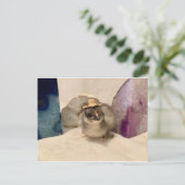 Carte Postale Geodude (Debout devant)