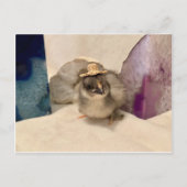 Carte Postale Geodude (Devant)