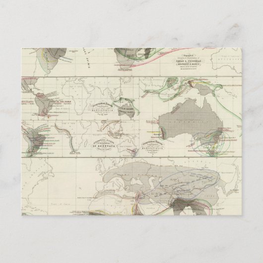 Carte Postale Géographie zoologique (Devant)