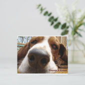 Carte Postale George (Debout devant)