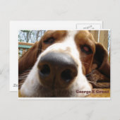 Carte Postale George (Devant / Derrière)