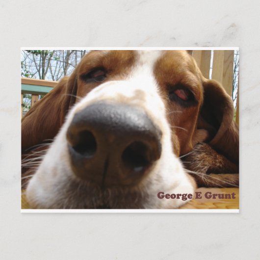Carte Postale George (Devant)