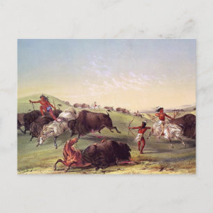 Carte Postale George Catlin - chasse de Buffalo
