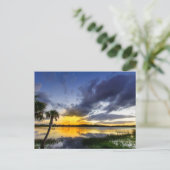 Carte Postale George Lestrange Preserve, Fort Pierce, Florida (Debout devant)