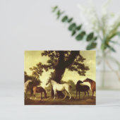 Carte Postale George Stubbs (Debout devant)