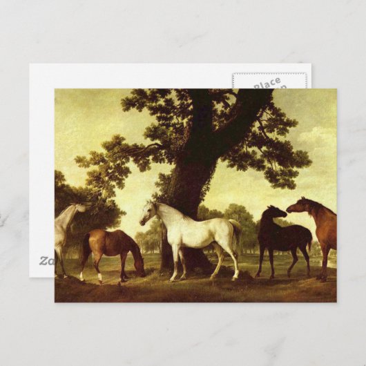 Carte Postale George Stubbs (Devant / Derrière)