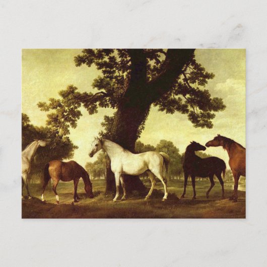Carte Postale George Stubbs (Devant)