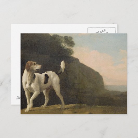 Carte Postale George Stubbs | A Foxhound, c.1760 (huile sur papi (Devant / Derrière)