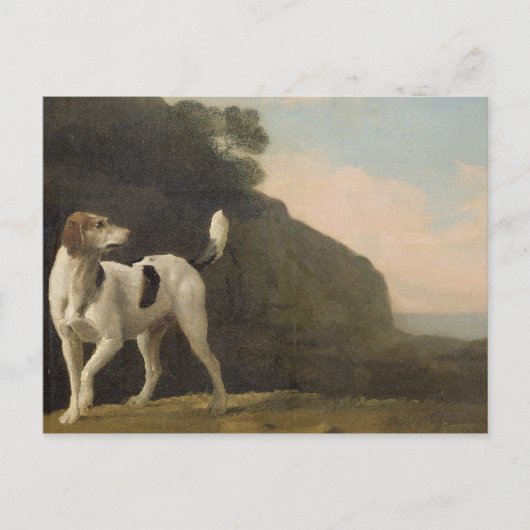 Carte Postale George Stubbs | A Foxhound, c.1760 (huile sur papi (Devant)