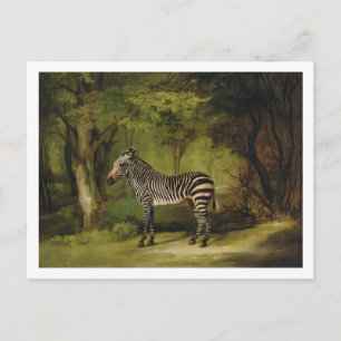 Carte Postale George Stubbs   A Zebra, 1763 (huile sur toile)