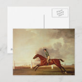 Carte Postale George Stubbs | Bay Malton avec John Singleton Up, (Devant / Derrière)
