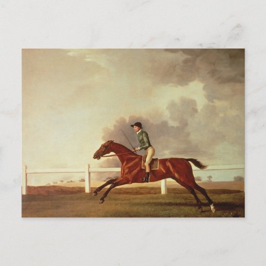 Carte Postale George Stubbs | Bay Malton avec John Singleton Up, (Devant)