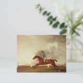 Carte Postale George Stubbs | Bay Malton avec John Singleton Up, (Debout devant)