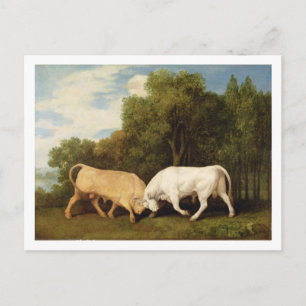 Carte Postale George Stubbs   Bulls Fighting, 1786 (huile sur pa
