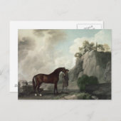 Carte Postale George Stubbs | Cato' et Groom (Devant / Derrière)