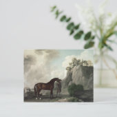 Carte Postale George Stubbs | Cato' et Groom (Debout devant)