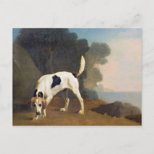 Carte Postale George Stubbs   Foxhound on the Scent, c.1760 (oil