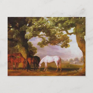 Carte Postale George Stubbs - Mares & Foals dans un paysage bois