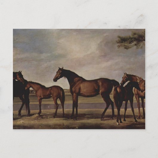 Carte Postale George Stubbs-Mares, poulains avant une tempête im (Devant)