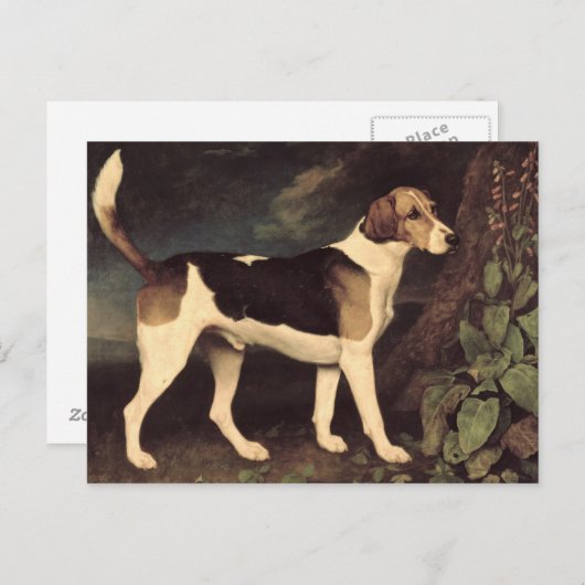 Carte Postale George Stubbs | Ringwood, un Brocklesby Foxhound, (Devant / Derrière)