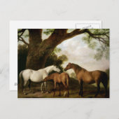 Carte Postale George Stubbs | Two Shafto Mares and a Foal, 1774 (Devant / Derrière)