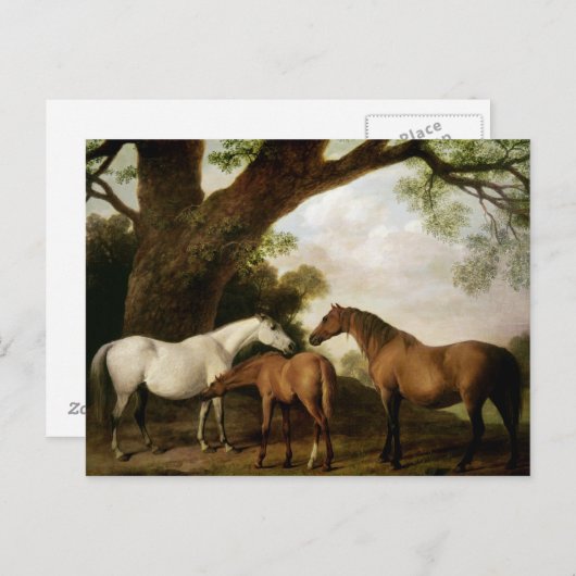 Carte Postale George Stubbs | Two Shafto Mares and a Foal, 1774 (Devant / Derrière)