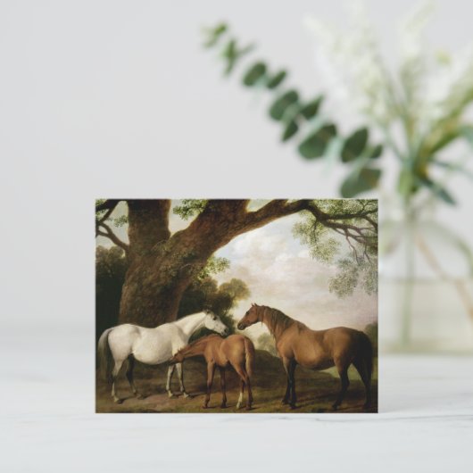 Carte Postale George Stubbs | Two Shafto Mares and a Foal, 1774 (Debout devant)