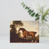 Carte Postale George Stubbs - Un chasseur de la baie selle (Debout devant)