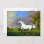 Carte Postale George Stubbs - Un Cheval Gris (Devant / Derrière)