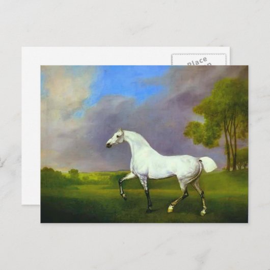 Carte Postale George Stubbs - Un Cheval Gris (Devant / Derrière)