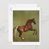 Carte Postale George Stubbs | Whistlejacket, 1762 (Devant / Derrière)