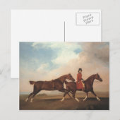 Carte Postale George Stubbs-William Anderson, deux chevaux de se (Devant / Derrière)