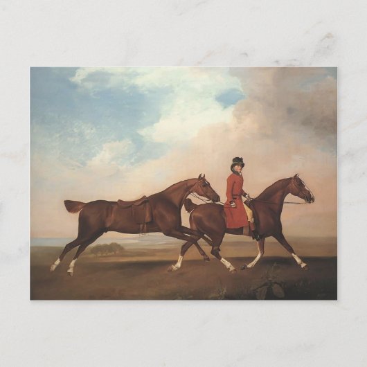 Carte Postale George Stubbs-William Anderson, deux chevaux de se (Devant)