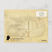 Carte Postale George Washington's Teeth (Dentures) (Dos)