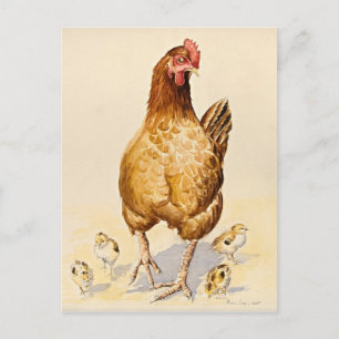 Carte Postale George's Hen et ses poussins 2007