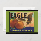 Carte Postale Georgia Eagle Peaches (Devant / Derrière)