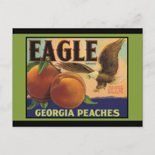 Carte Postale Georgia Eagle Peaches