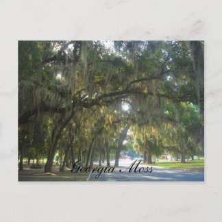 Carte Postale Georgia Moss