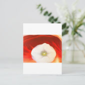 Carte Postale georgia o'keeffe (Debout devant)