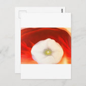 Carte Postale georgia o'keeffe (Devant / Derrière)