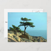 Carte Postale Georgian Bay Shoreline, lac Huron, Ontario, Canada (Devant / Derrière)