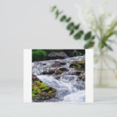 Carte Postale Géorgie (Debout devant)