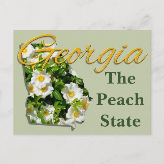 Carte postale - GEORGIE (Devant)